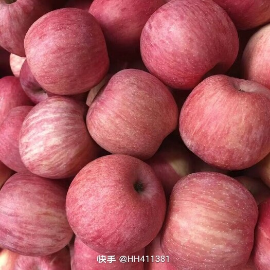 天峨县个大饱满，甜