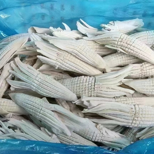 郑州火箭鱿鱼，火锅卤煮