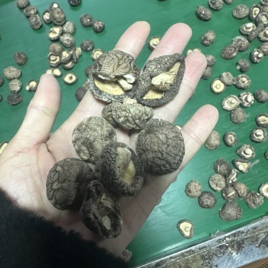 泌阳县包邮面菇香菇 2.5小冬菇干香菇2024新货烘干