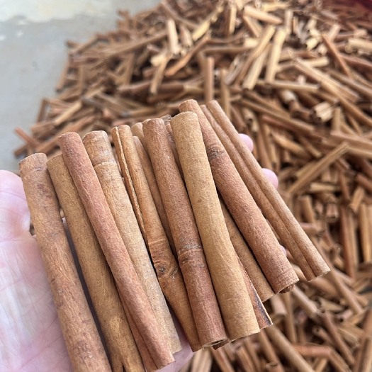 玉林精品烟仔桂长条切割3～15cm可定制各种规格煮红酒调咖啡