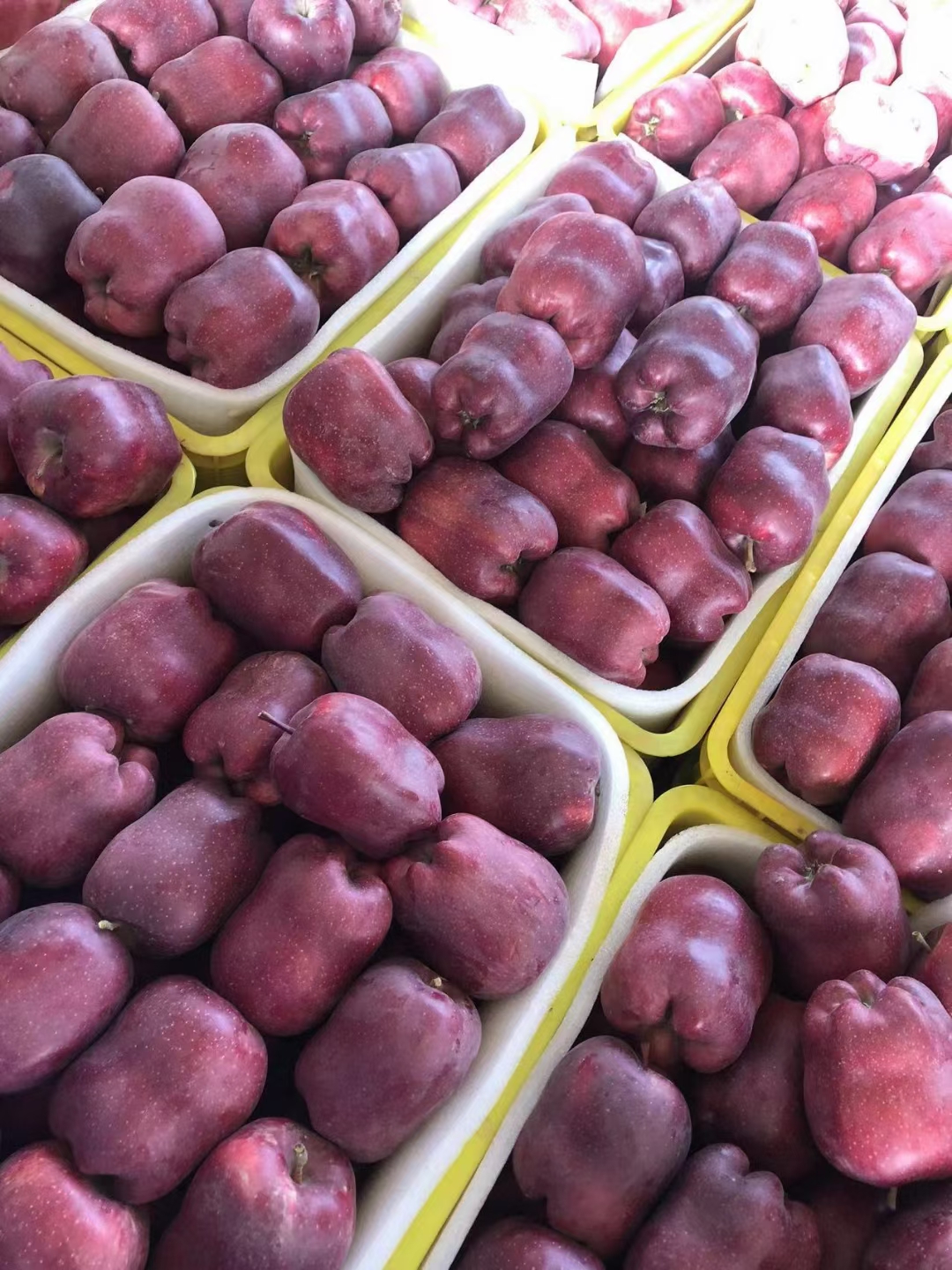 花牛苹果，来自于高山，高海拔，果面干净，库存时间长