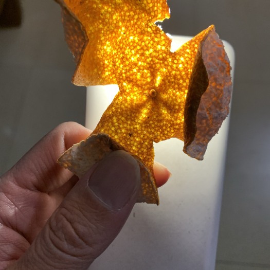 江门落地皮