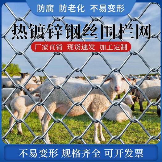 热镀锌铁丝网护栏网圈牛羊狗围栏网养殖用网户外护栏网钢丝网