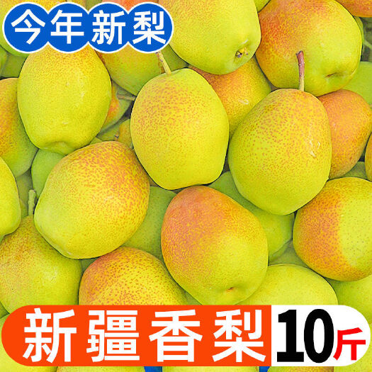 高唐县红梨