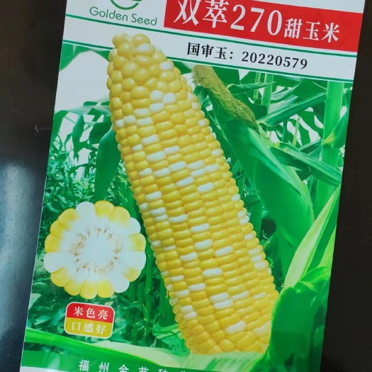 莱阳市双萃270甜玉米种子