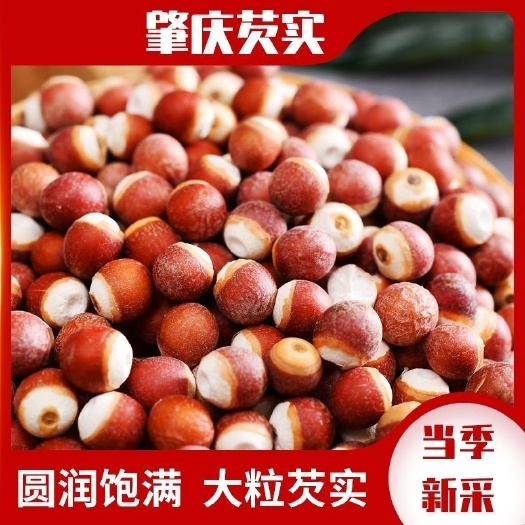 【包邮】新货肇庆芡实 干货芡实鸡头米 新鲜欠实煮粥半开芡实米