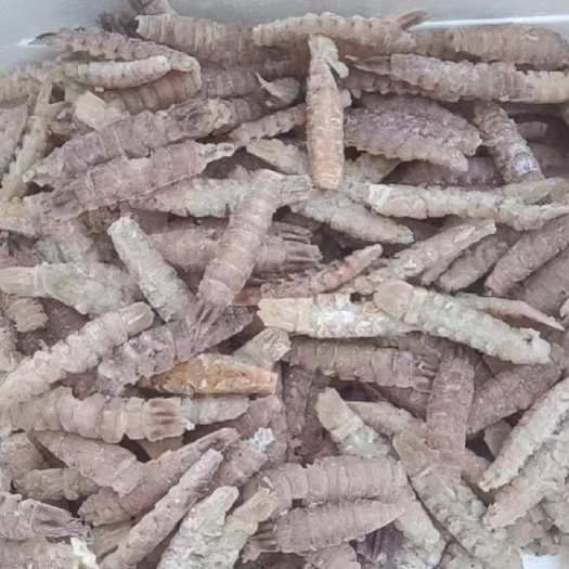 乳山市熟爬虾肉，精品特，无碎肉，整条