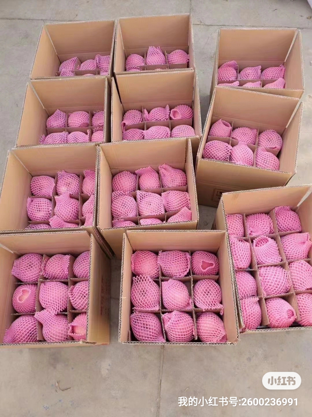 烟台苹果，