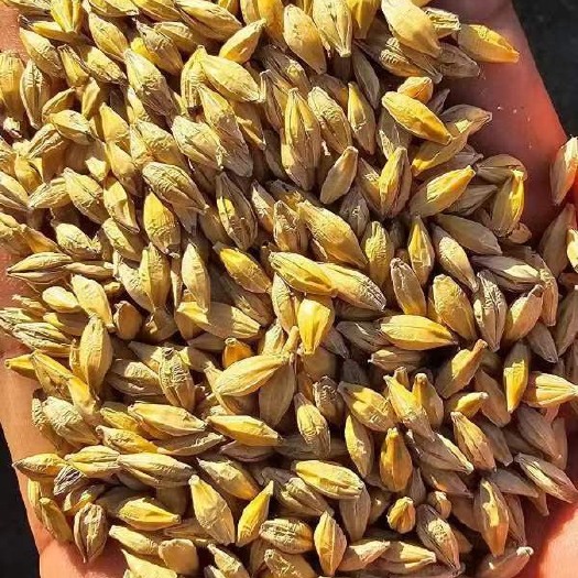 吉林省昌泰粮食有限公司