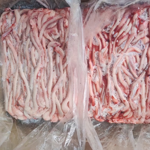 郑州猪鞭