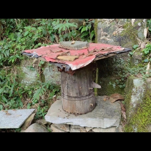 金华土蜂蜜