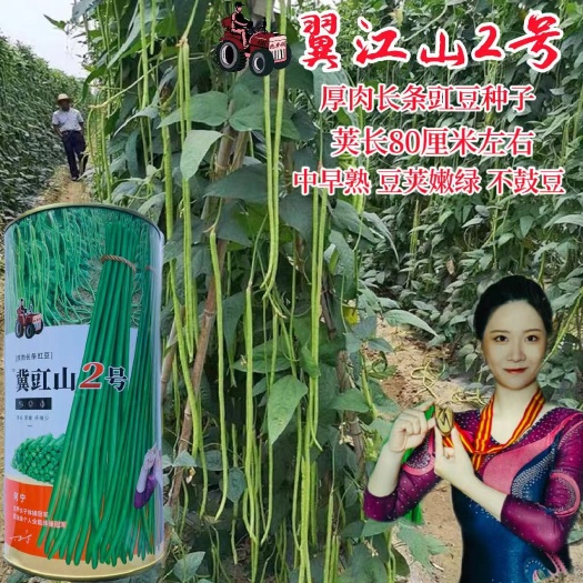 宿迁豇豆种子冀豇山长豆角种子架豆种子摘不败厚肉长条豇豆种子