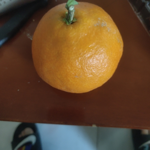 枣庄冰糖橙