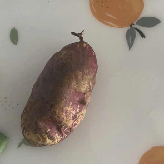 湖州红薯