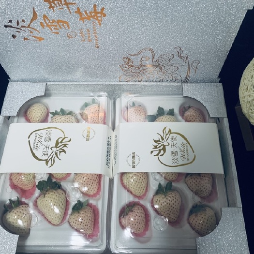 平度市新鲜白草莓淡雪草莓顺丰冷链包邮现摘现发礼盒包装