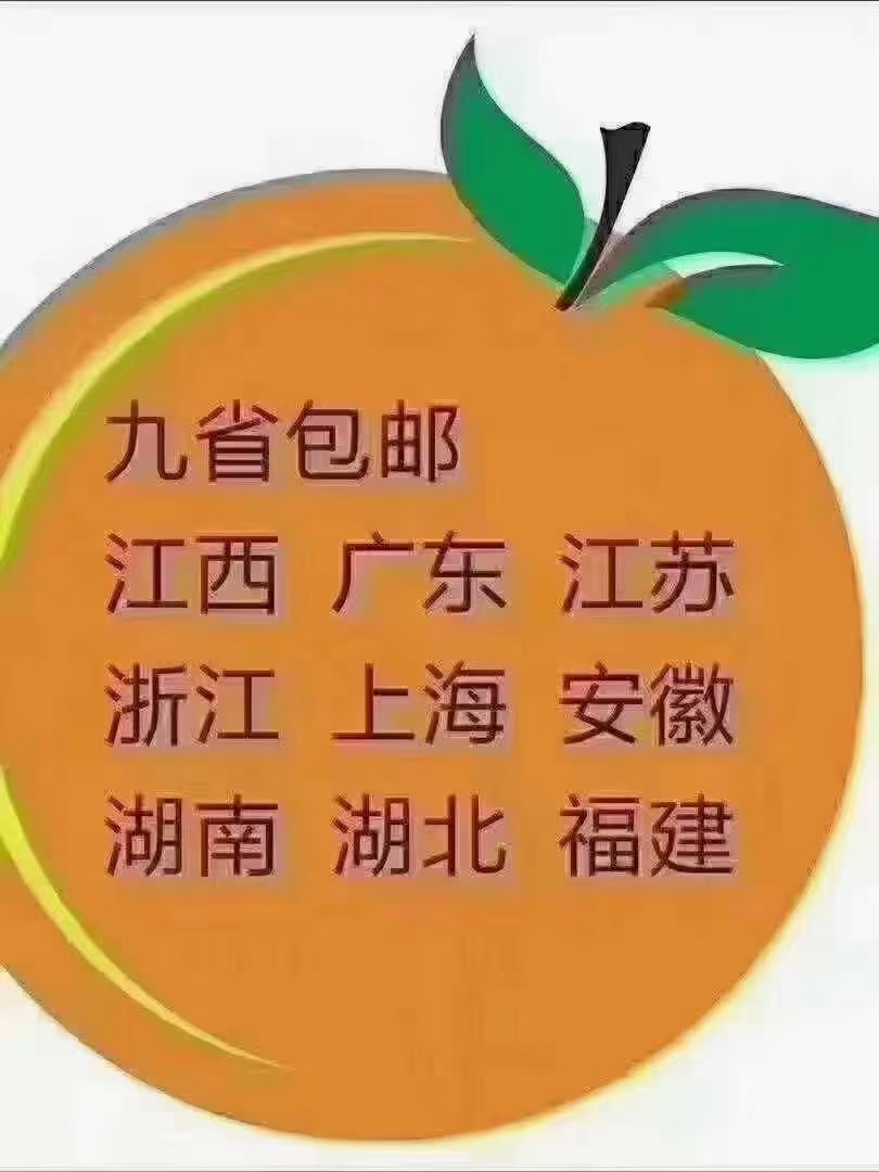 赣南脐橙、现摘现发