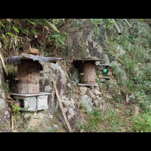 金华土蜂蜜