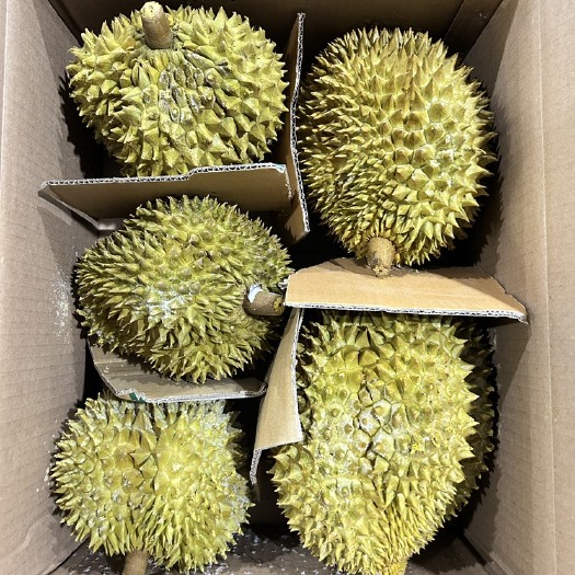 佛山液氮金枕，有量有价