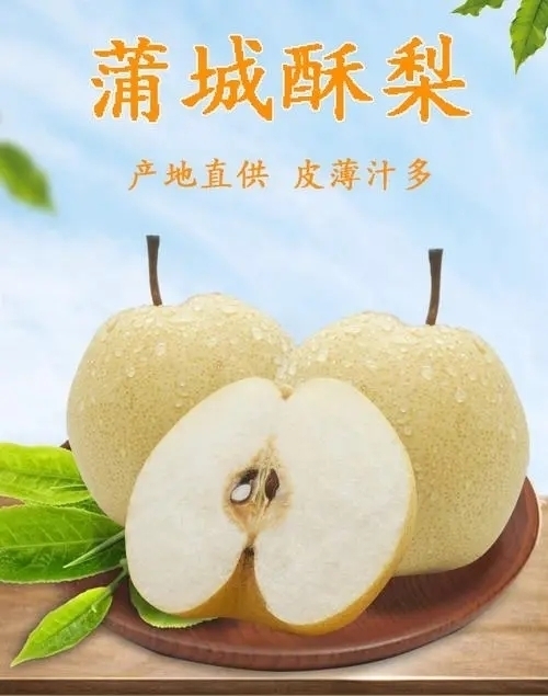 蒲城县蒲城酥梨
