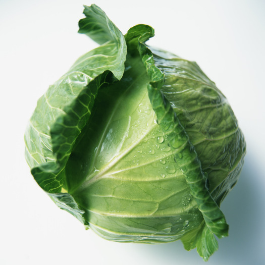 资阳包菜
