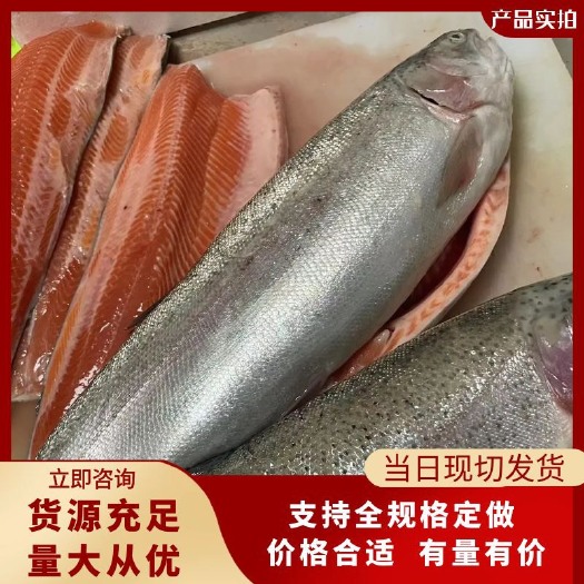 连云港国产新疆整条冰鲜三文鱼自助餐同款三文鱼