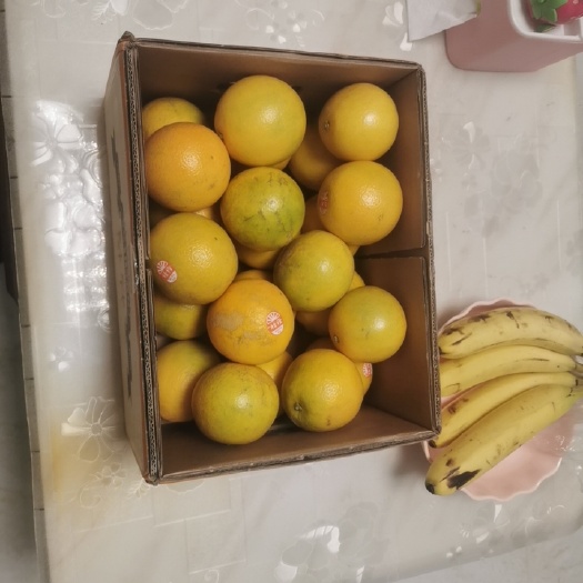 清远褚橙