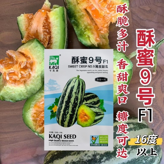 沭阳县甜瓜种子酥蜜9号 甜瓜粗棒形果皮灰白绿色覆黑条斑条带清晰靓丽