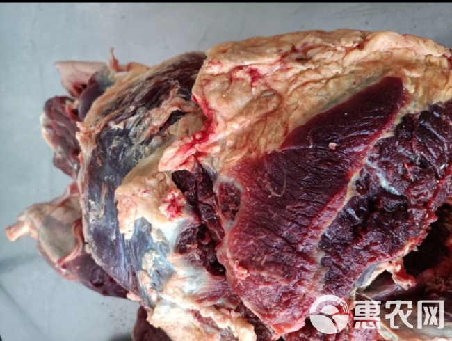 内蒙古黄膘牛肉，纯草地牛肉，