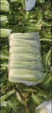 当阳市青口白