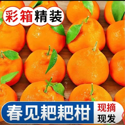 合阳县水果