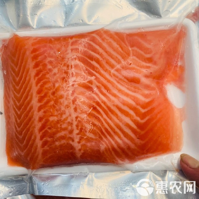 三文鱼国产新疆三文鱼冰鲜中段刺身寿司日料当日现切发货