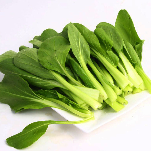 南宁奶白菜