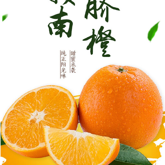 10斤赣南脐橙产业基地鲜果直发