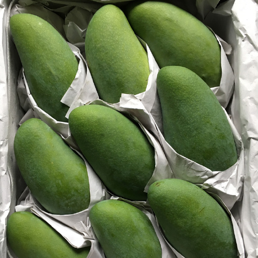 南宁大青芒热带水果甜心芒脆甜多汁一件代发大芒果9斤包邮