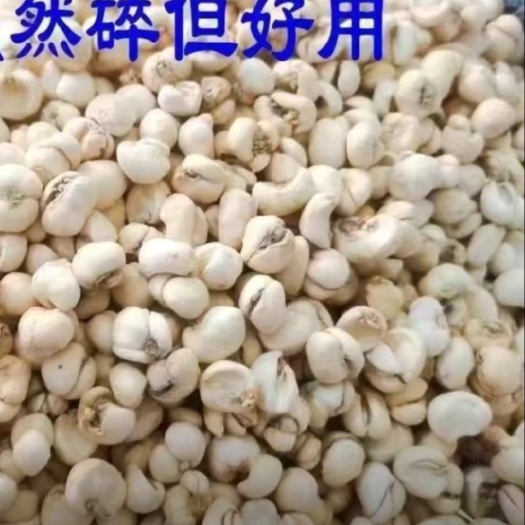大冶市贝母
