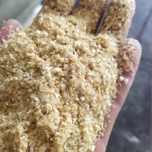 赵县玉米白皮