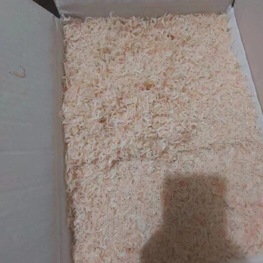 滨州虾皮