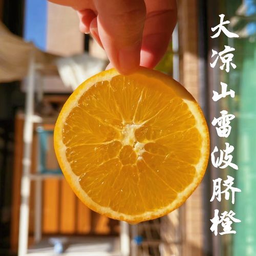 雷波县橙子