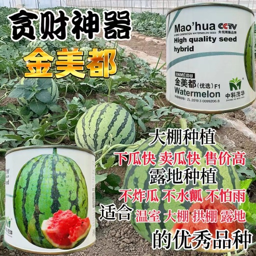 宿迁中科华茂金美都优选西瓜种子早熟杂交耐高温抗高湿薄皮西瓜种子