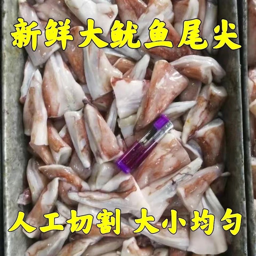 连云港鱿鱼尾尖尖头新鲜鱿鱼大尾尖鲜活冷冻商用不水发小海鲜餐饮烧烤