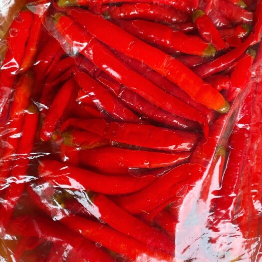 泡 二荆条 泡辣椒 泡椒