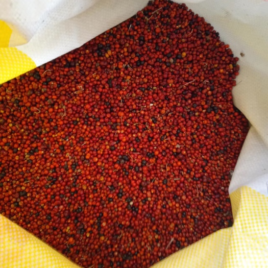 阳信县茜草种子
