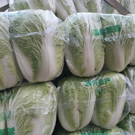 青杂三号，发，山西，陕西，甘肃，新疆，江苏，