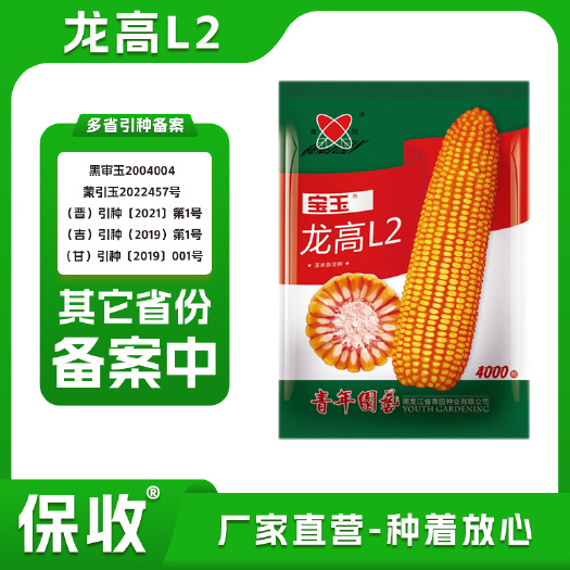 龙高L2玉米种子  龙高L2-4000粒玉米种子