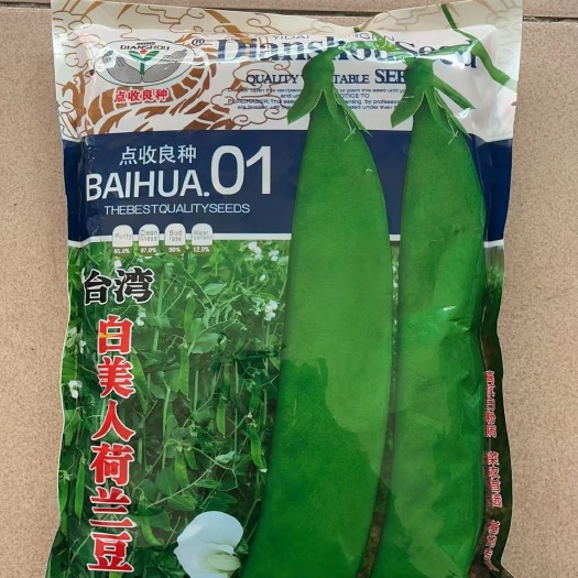 点收台弯白美人荷兰豆春夏秋场均可种翠绿开花后10天可采收