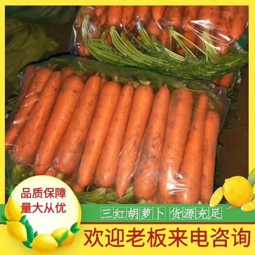 开封胡萝卜半苗货