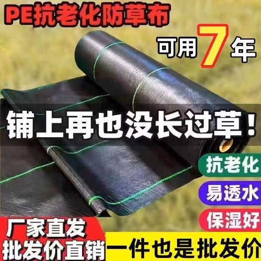 无棣县防草布PE全新料农用除草布厂家批发