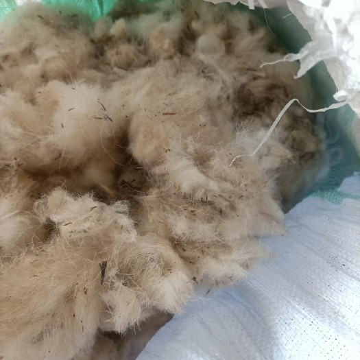 广州羊毛大量供应，月供10万斤
