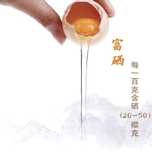 上海高标准无抗认证的富硒蛋