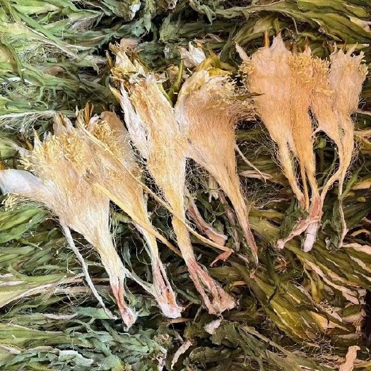 【永康元药业】霸王花广东煲汤泡水料一件20斤